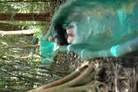  2007-12-10 15.02.17.JPG 